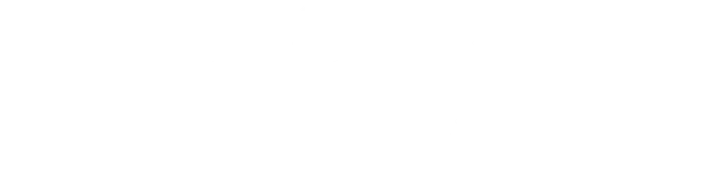 Digitalni element